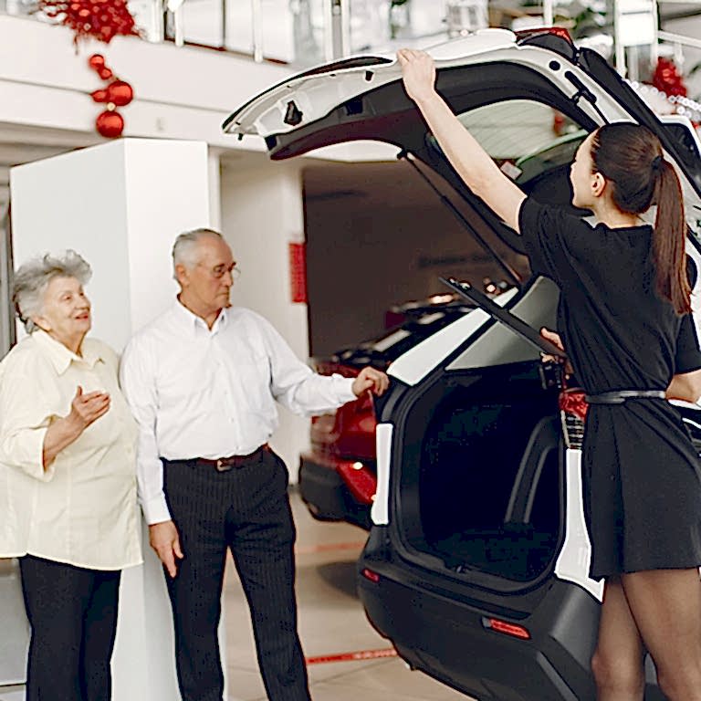 Motorlu Kara Taşıtları Alım Satım Sorumlusu